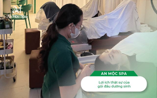 gội đầu dưỡng sinh