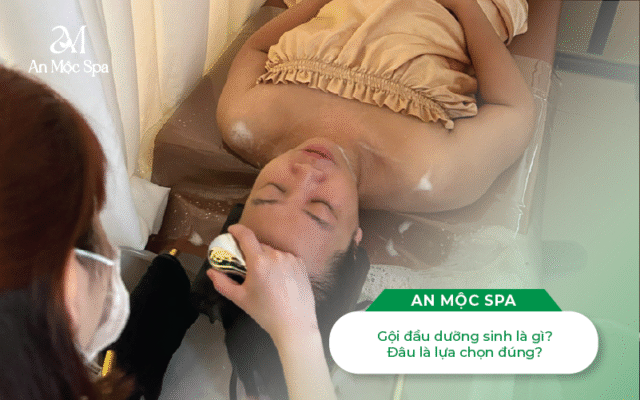 gội đầu dưỡng sinh