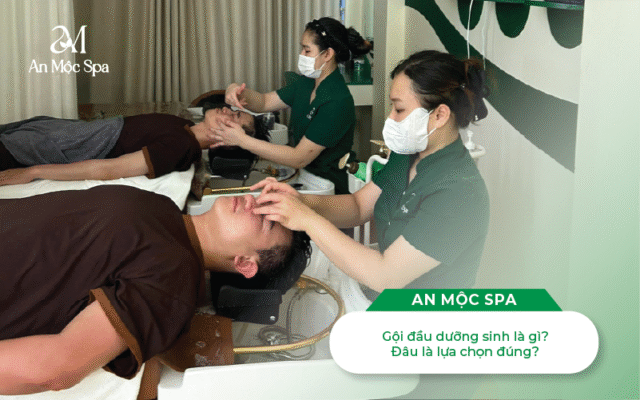 gội đầu dưỡng sinh