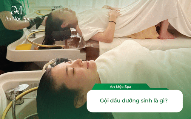 Gội Đầu Dưỡng Sinh