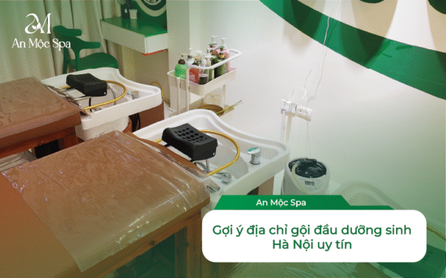 Gội Đầu Dưỡng Sinh