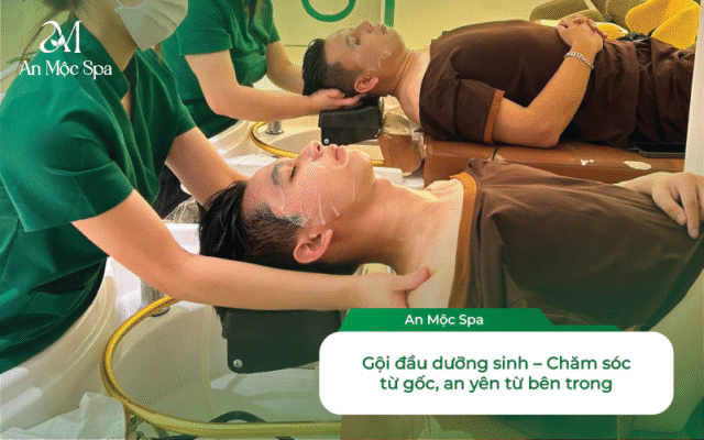gội đầu dưỡng sinh