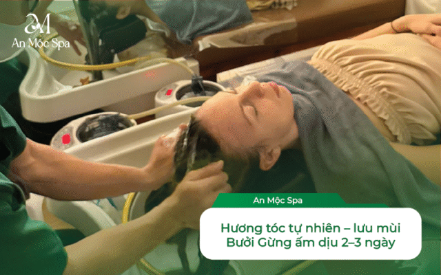 gội đầu dưỡng sinh
