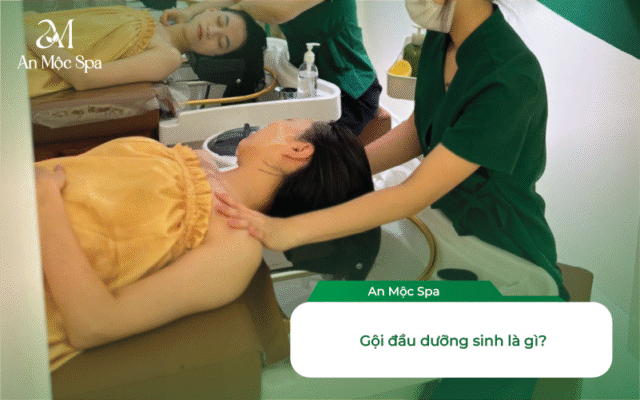 gội đầu dưỡng sinh