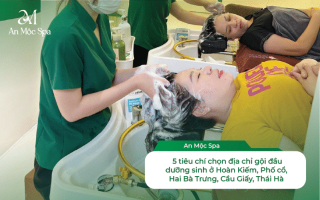 gội đầu dưỡng sinh