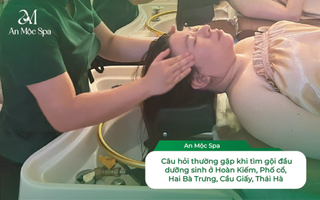 gội đầu dưỡng sinh
