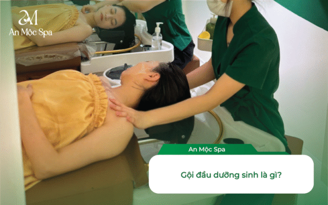 gội đầu dưỡng sinh