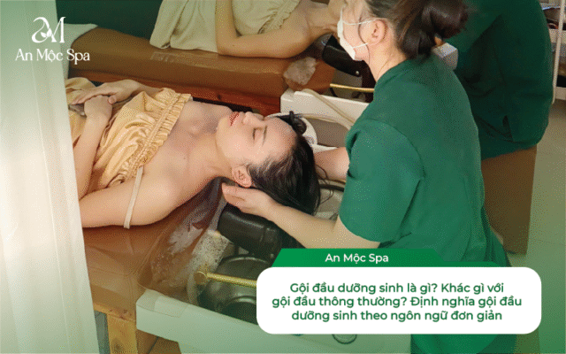 gội đầu dưỡng sinh