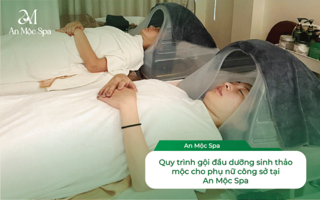 gội đầu dưỡng sinh