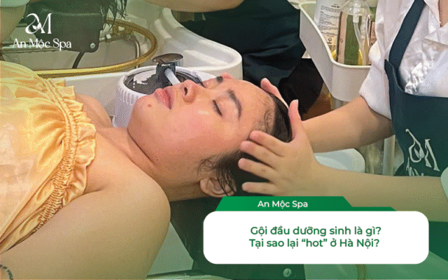 gội đầu dưỡng sinh