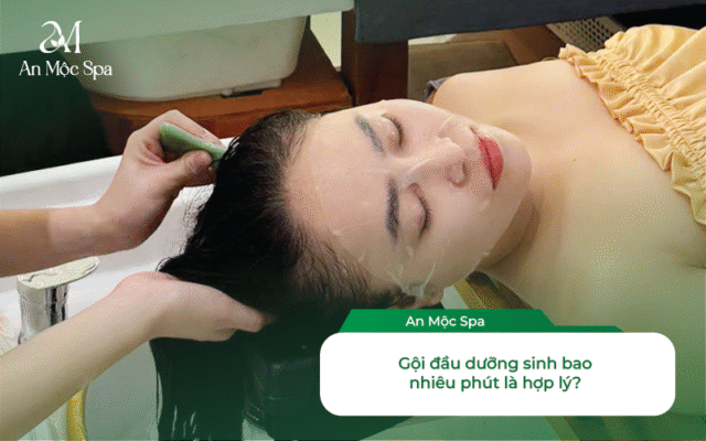 gội đầu dưỡng sinh