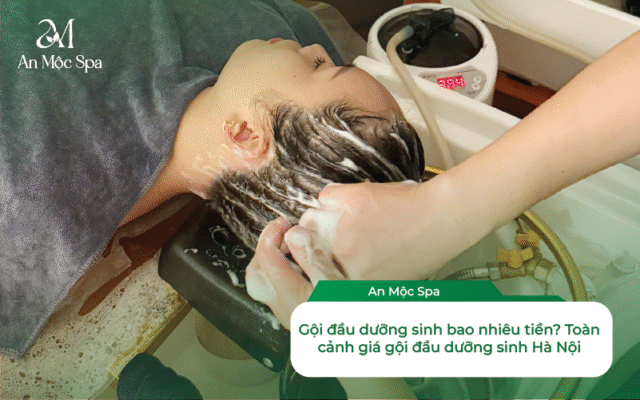 gội đầu dưỡng sinh
