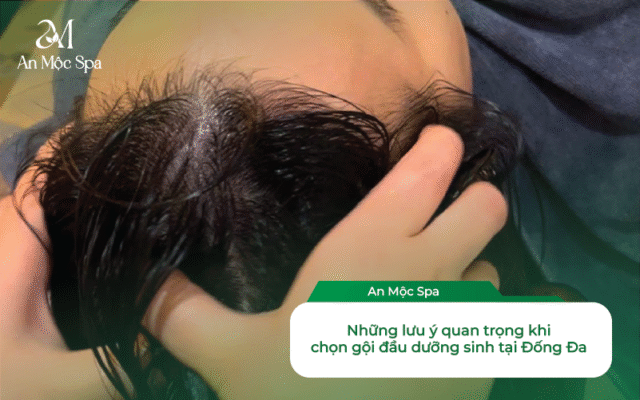 gội đầu dưỡng sinh Đống Đa Hà Nội