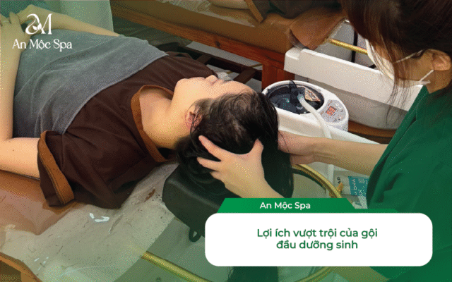 gội đầu dưỡng sinh Đống Đa Hà Nội