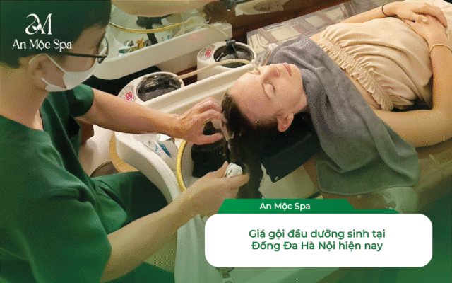 gội đầu dưỡng sinh Đống Đa Hà Nội