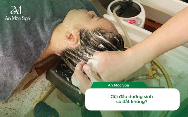 gội đầu dưỡng sinh Đống Đa Hà Nội