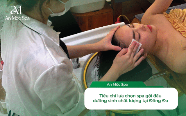 gội đầu dưỡng sinh Đống Đa Hà Nội