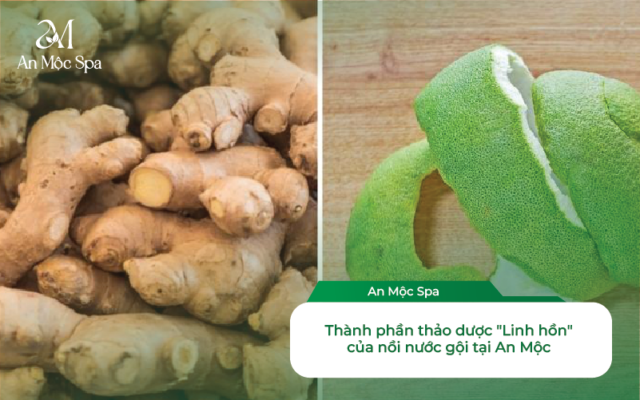 Gội Đầu Dưỡng Sinh Uy Tín Đống Đa