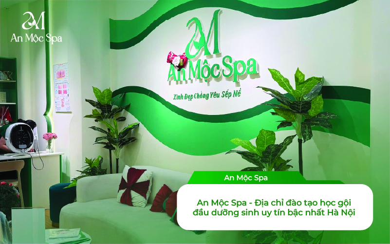 Học Gội Đầu Dưỡng Sinh