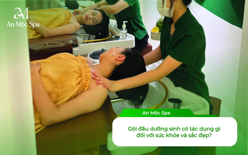 Gội Đầu Dưỡng Sinh Là Gì