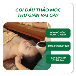 Gội Đầu Thảo Mộc Thư Giãn Vai Gáy 60 Phút tại Đống Đa