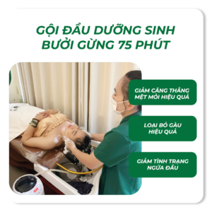 Gội đầu dưỡng sinh bưởi gừng 75 phút tại Đống Đa: 16 Bước thư giãn chuyên sâu
