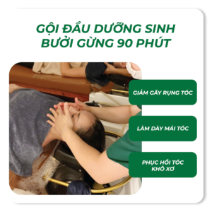 Gội Đầu Dưỡng Sinh Bưởi Gừng 90 Phút Tại Đống Đa: 18 Bước Thư Giãn Chuyên Sâu
