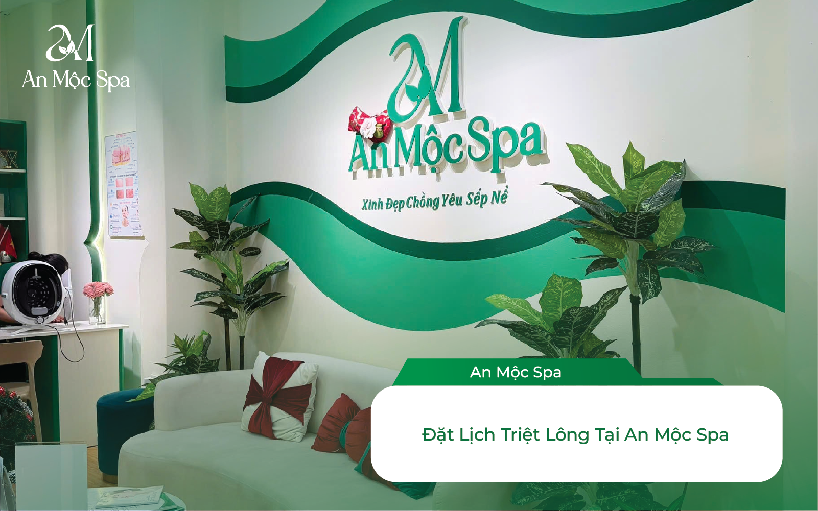 Bảng Giá Triệt Lông