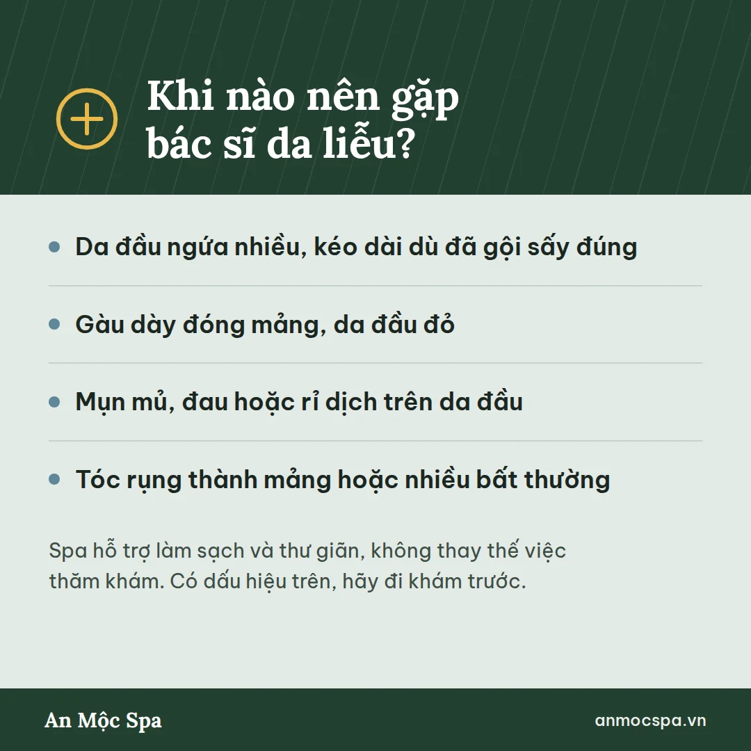 Khi nào nên gặp bác sĩ da liễu vì da đầu ngứa, gàu, rụng tóc
